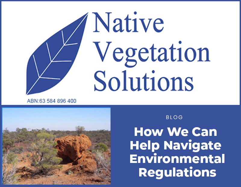 How Environmental Consultants in Kalgoorlie Can Help Navigate Environmental Regulations